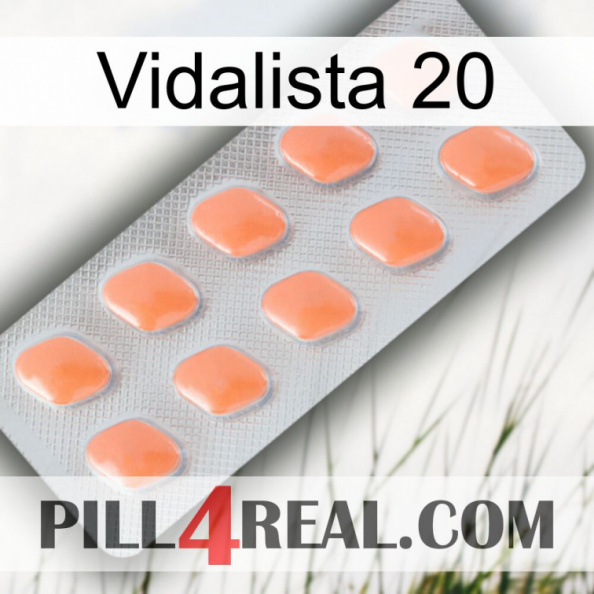 Vidalista 20 26.jpg